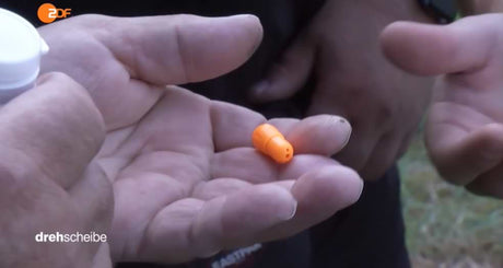 iCapio in Drehscheibe Angeln (ZDF)