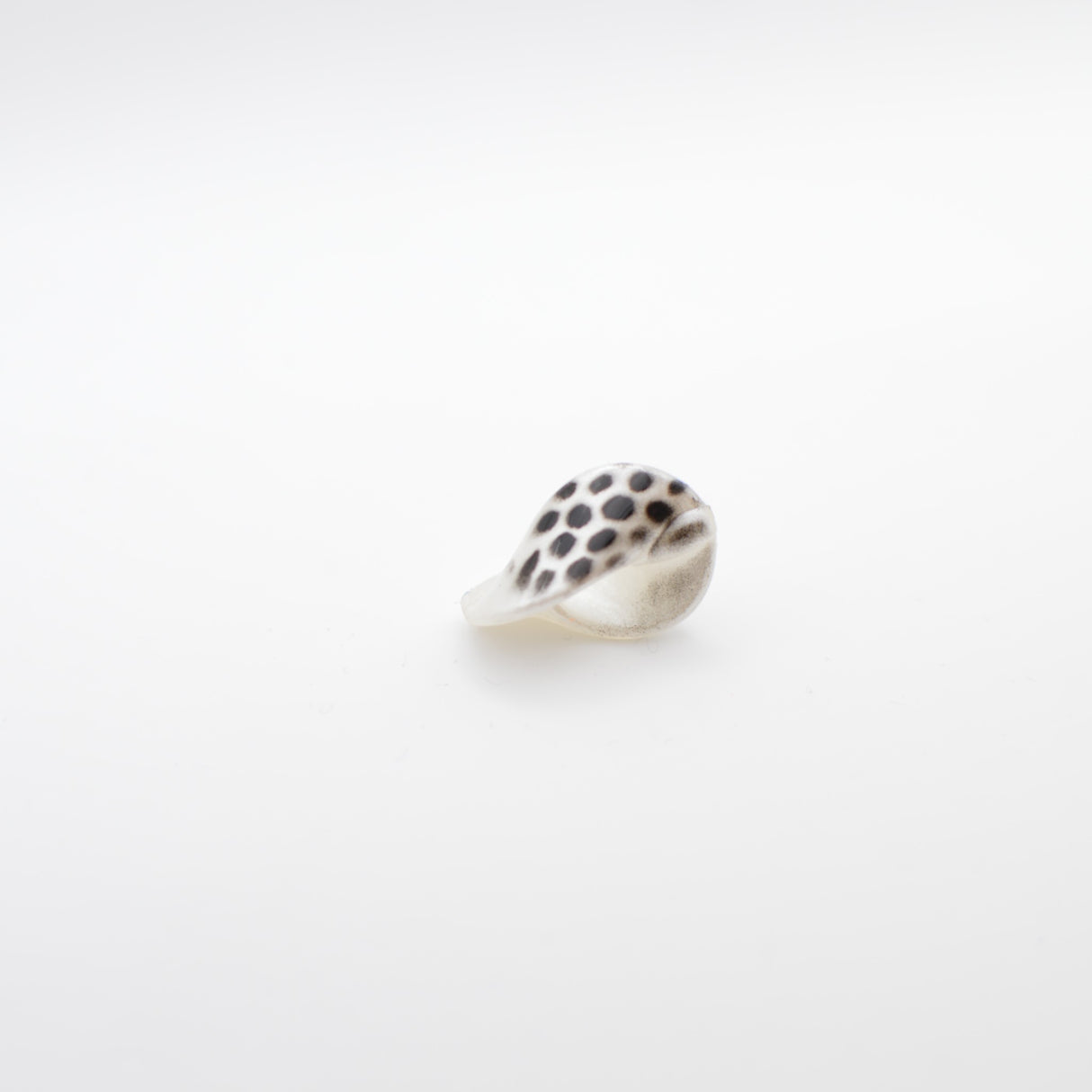 AntiSPOOK 23 _ Permluttweiss-Schwarze Giraffe