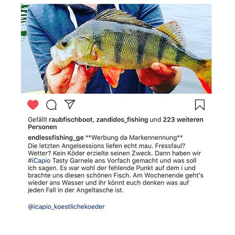Fangmeldung Endlessfishing_ge - Dickbarsch