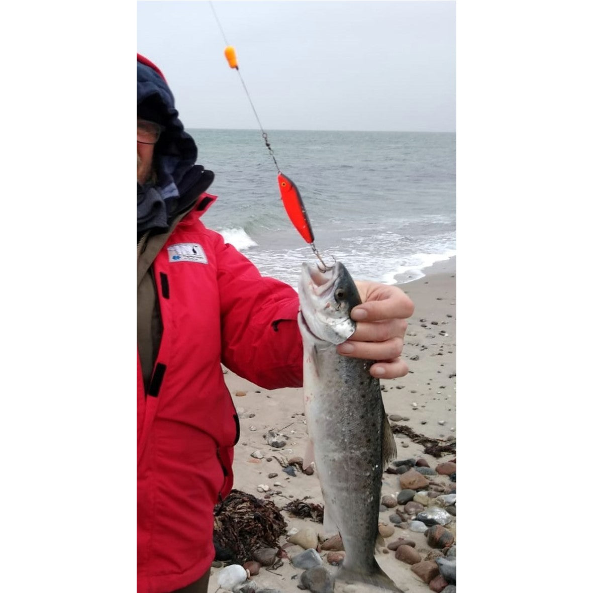 Fangmeldung von der Ostsee - Thomas mit Meerforelle auf Aktivköder
