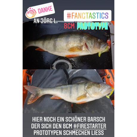 schöner Barsch auf Firestarter 8cm Prototypen - von Jörg L.