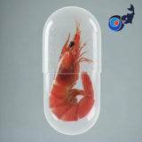 Tasty Garnele (30 Caps)